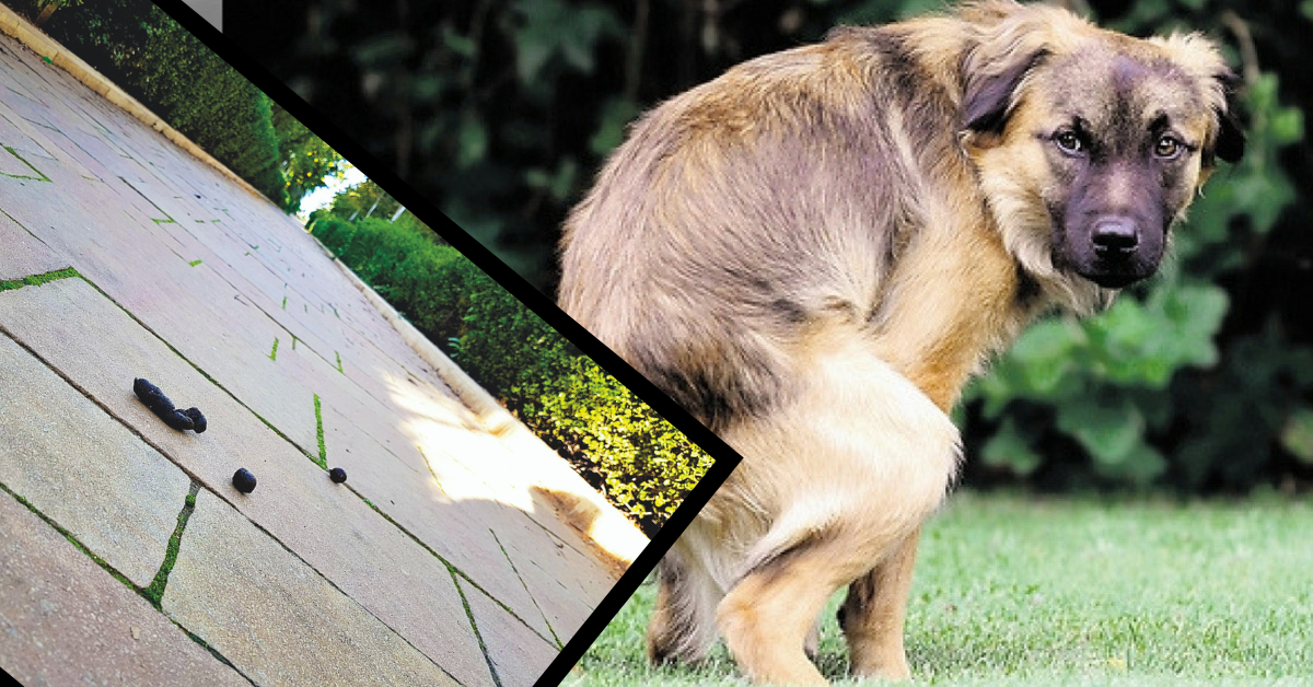 קנסות בגובה 750 שקלים