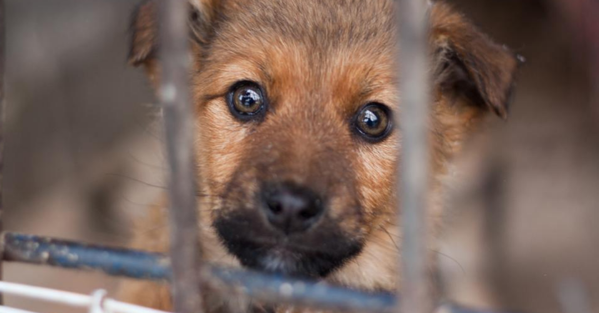 "חברים לא עוזבים"