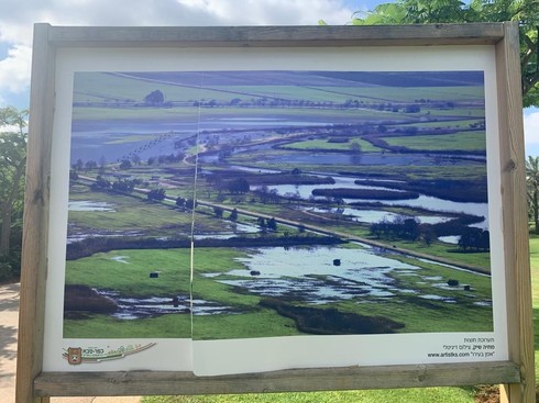 עוד יצירה שהושחתה