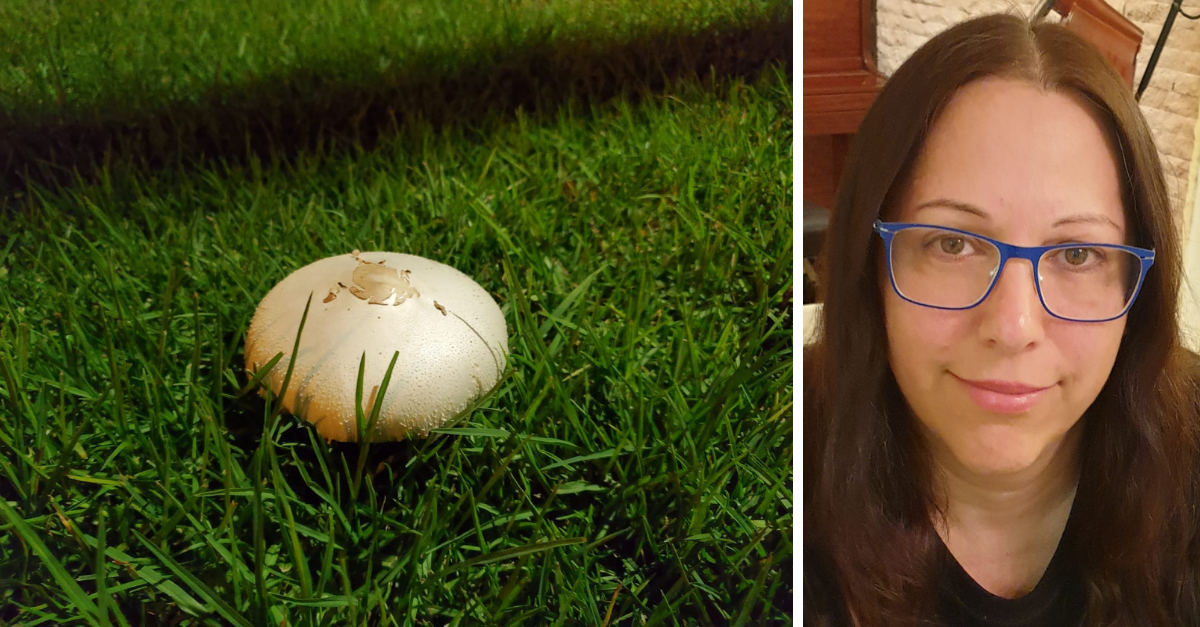 ד"ר דניה טקגי והפטריה הרעילה