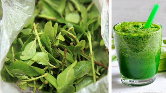 מיץ גת. יכול להיות מסוכן מיץ גת. יכול להיות מסוכן